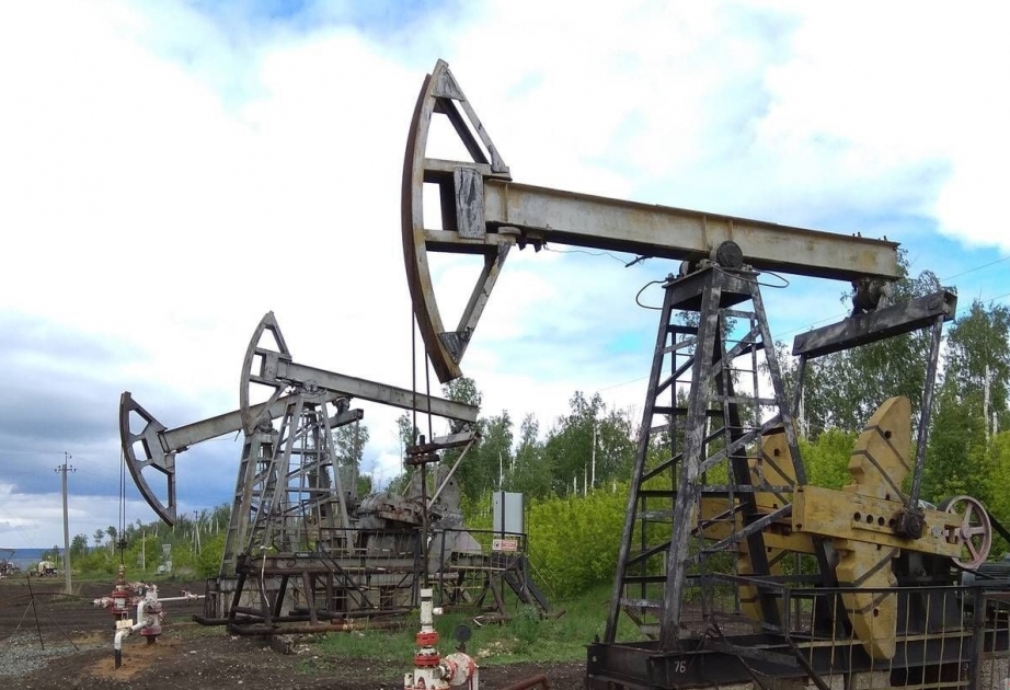OPEC: Bazardakı qeyri-müəyyənlik neft tələbatına təsir edir