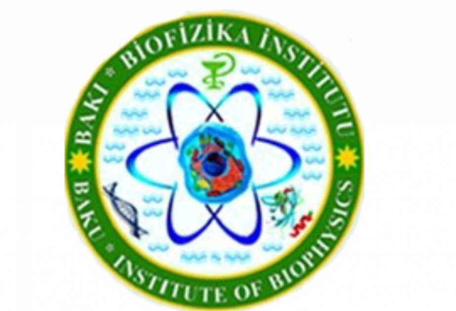 Biofizika İnstitutunun əməkdaşı onlayn beynəlxalq elmi-praktik konfransda məruzə edib