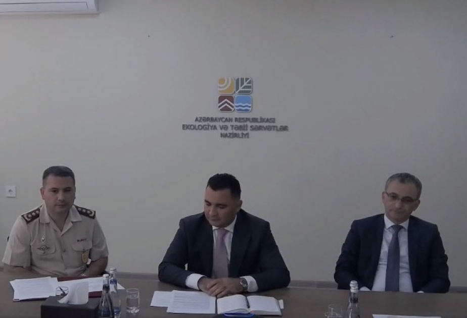 Azərbaycanda meşə yanğınları daha çox antropogen amillərin təsiri nəticəsində baş verir