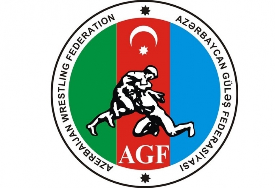 Одержав победу над армянским соперником, наш борец вышел в полуфинал чемпионата Европы