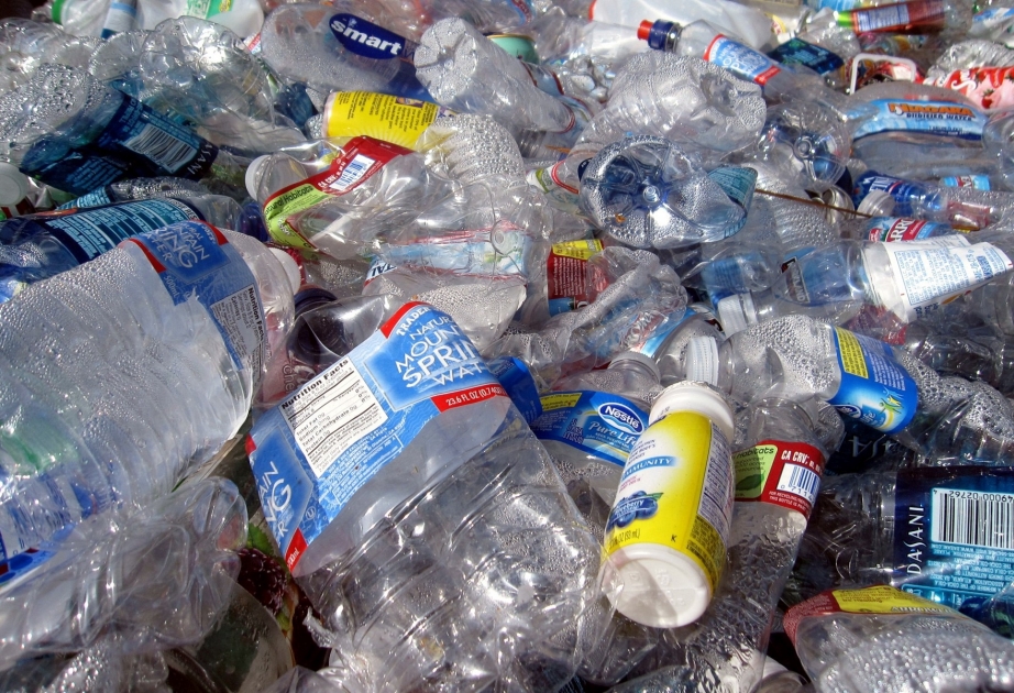 Больше половины одноразового пластика на Земле производят лишь 20 компаний