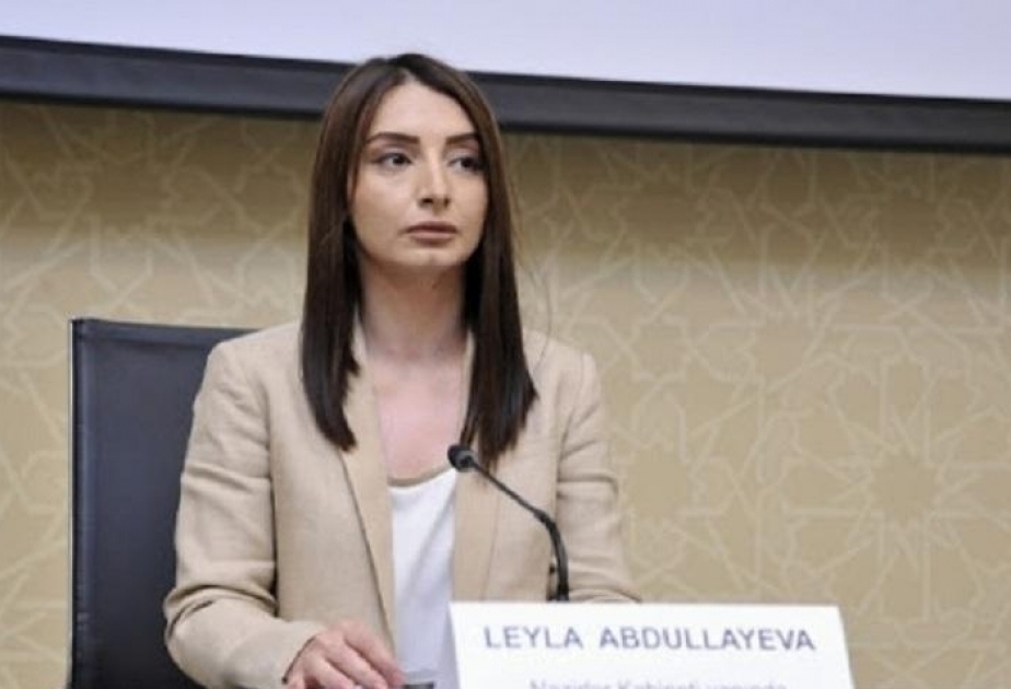 Leyla Abdullayeva: Indian Foreign Ministry’s statement on recent developments along Armenia-Azerbaijan border was made without a proper thorough examination of various dimensions of this issue