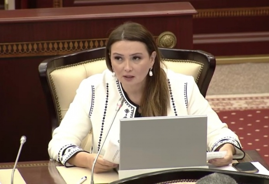 Asiya Parlament Assambleyasının İqtisadiyyat və davamlı inkişaf daimi komitəsinin iclası keçirilib