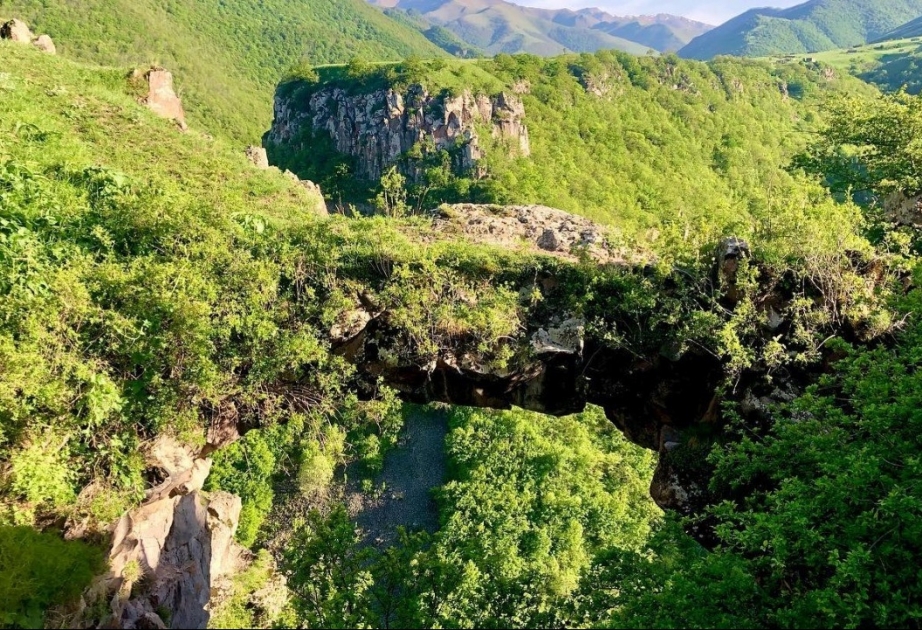 “Ağıllı kənd” layihəsi işğaldan azad edilmiş ərazilərin fauna müxtəlifliyinin bərpa olunmasına töhfə verəcək
