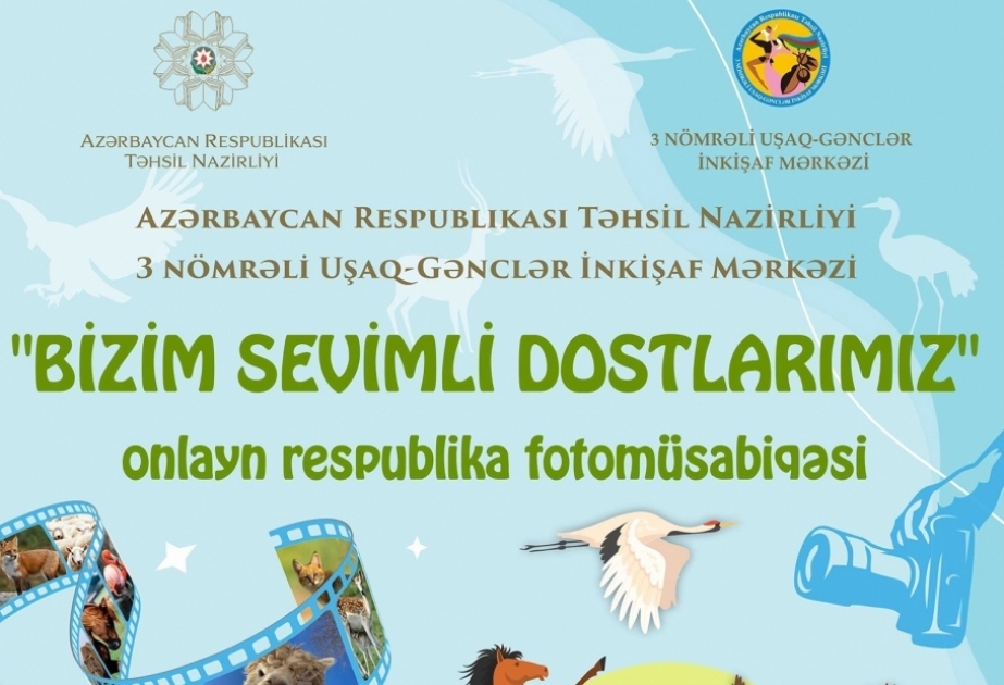 “Bizim sevimli dostlarımız” onlayn respublika fotomüsabiqəsinə yekun vurulub