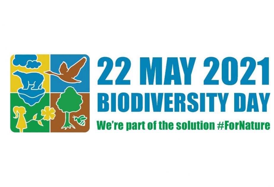 Тема Дня биологического разнообразия 2021: «Мы часть решения»