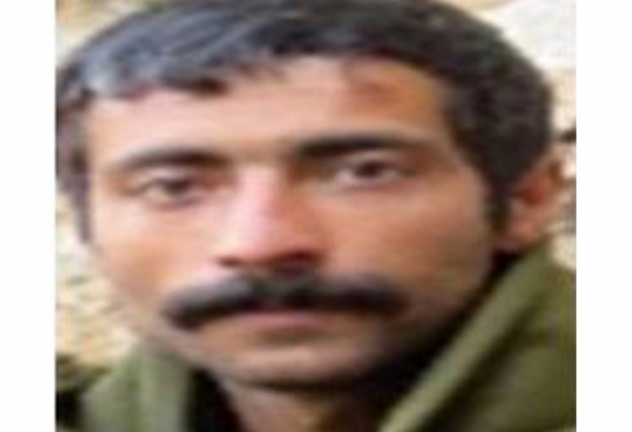 Türkiyədə daha bir təhlükəli terrorçu məhv edilib
