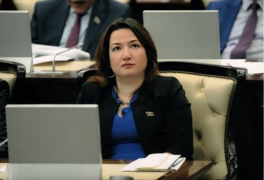 Deputat: Nizami Gəncəvi Beynəlxalq Mərkəzi qlobal əhəmiyyətə malik platformadır