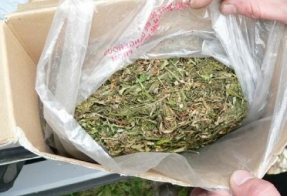 Tovuz rayon sakininin evindən 1,5 kiloqramdan çox marixuana aşkarlanıb