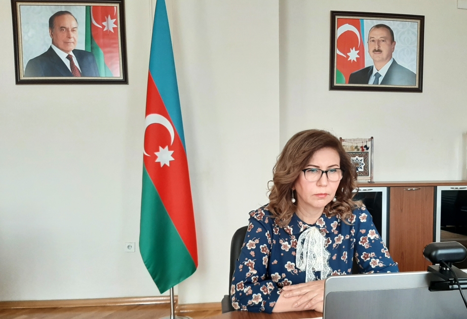 Comité de Estado, Embajada Británica y PNUD discuten las perspectivas de cooperación para el empoderamiento femenino en Azerbaiyán