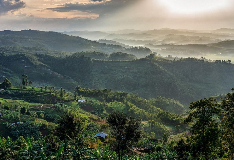 Moderates Beben trifft Ruanda