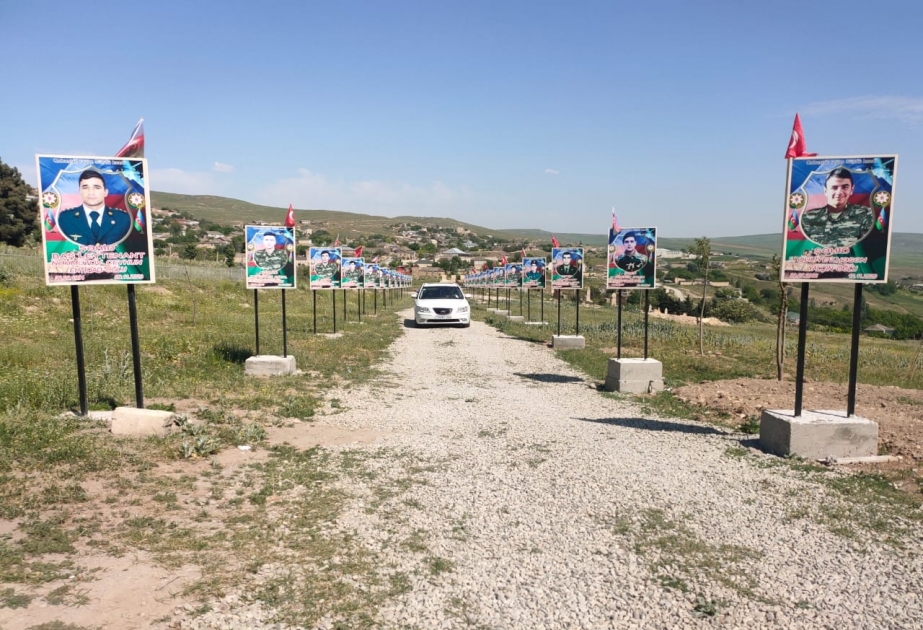 Qobustanın Sündü kəndinin yolunu şəhidlərimizin fotoları olan lövhələr bəzəyir VİDEO