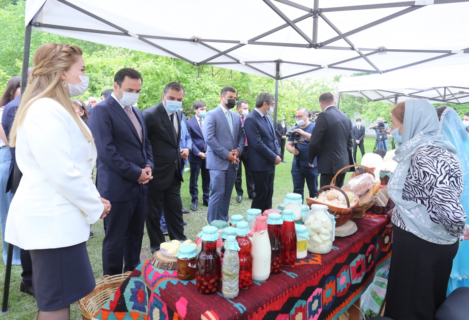 İsmayıllıda dövlət dəstəyi ilə 15 kənd qonaq evi yaradılıb VİDEO
