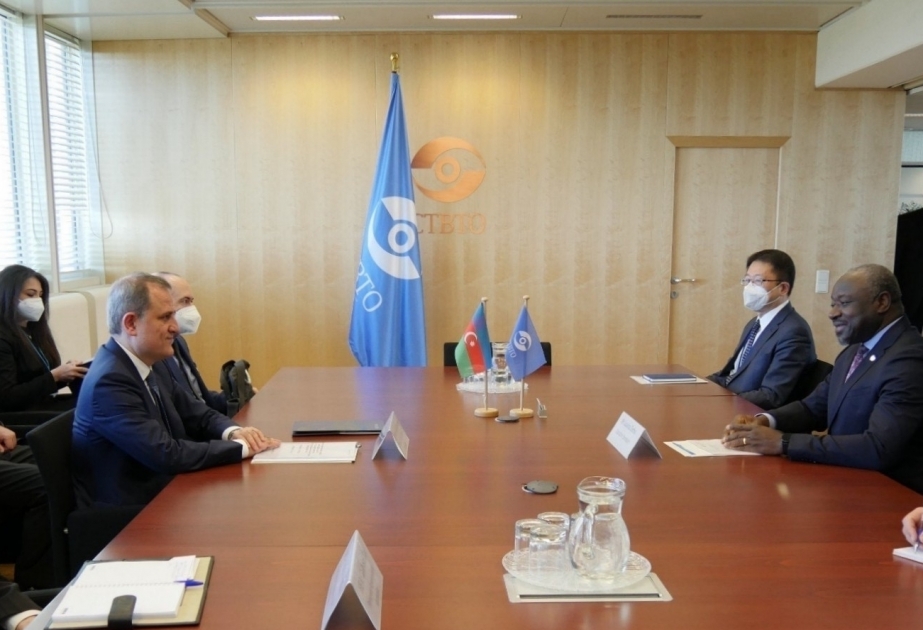 Azerbaijan, Comprehensive Nuclear-Test-Ban Treaty Organization discuss opportunities for cooperation VIDEO