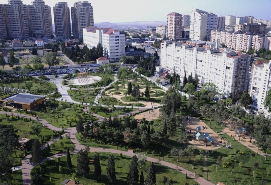Новый лесопарк в Ясамальском районе стал излюбленным местом семейного отдыха горожан