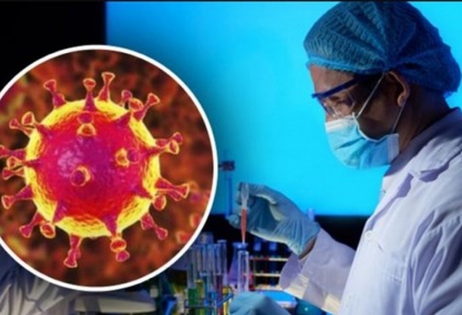 Эксперты ВОЗ подготовят предложения о новом этапе изучения источника коронавируса
