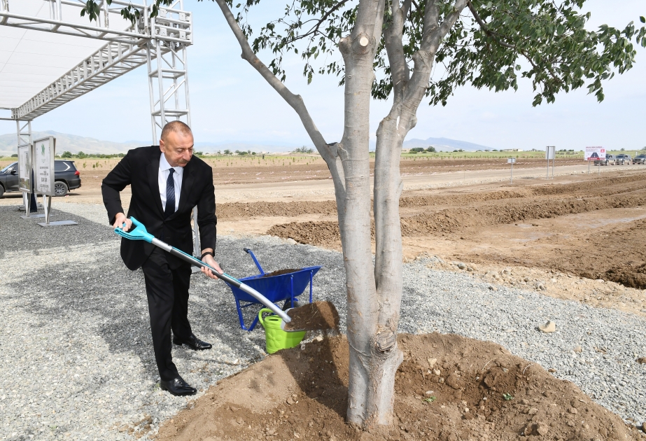 Prezident İlham Əliyev Ağdam şəhər meşə-parkında ağac əkib YENİLƏNİB VİDEO