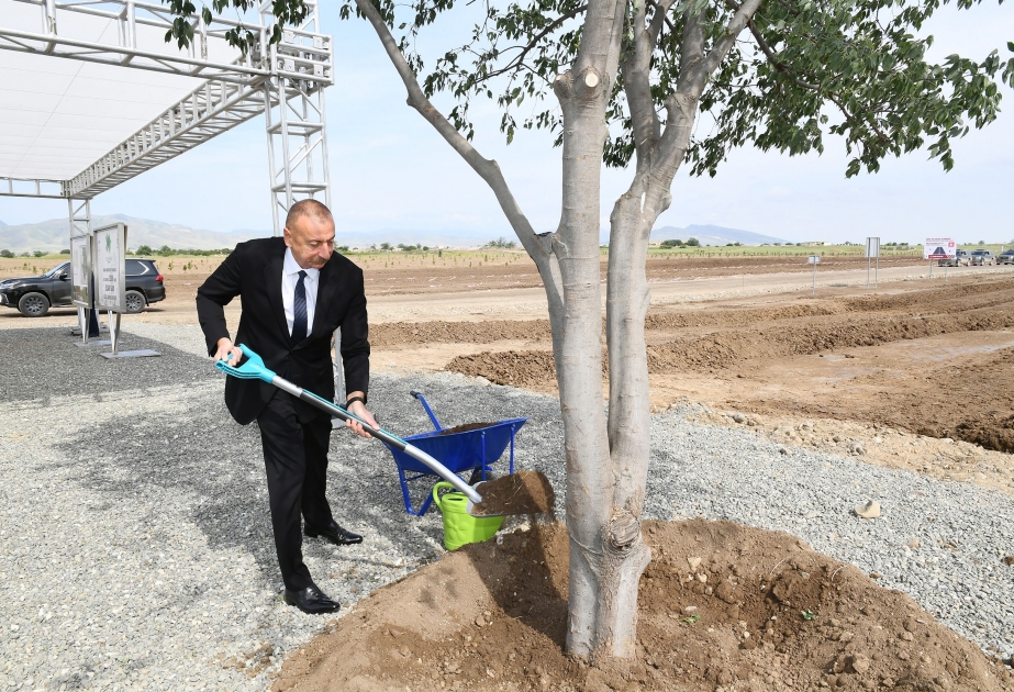 Präsident Ilham Aliyev pflanzt Bäume im Waldpark in der Stadt Aghdam VIDEO