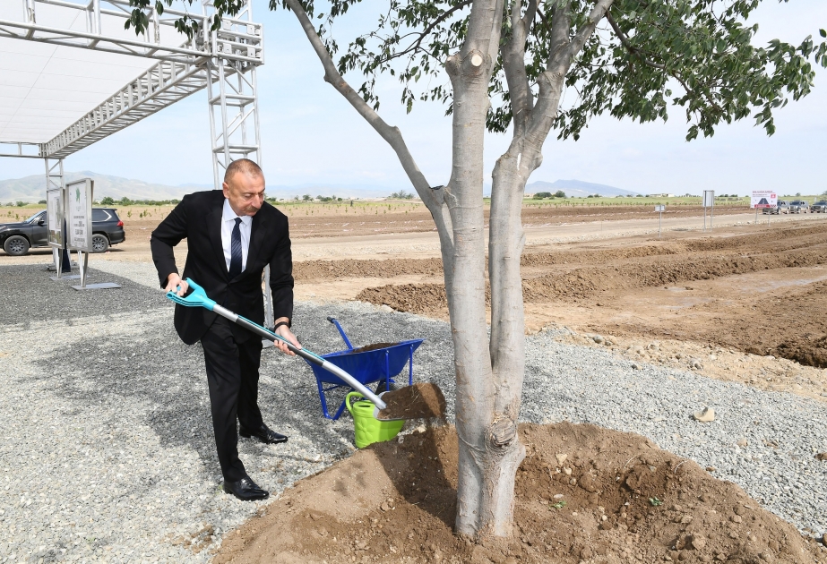 Le président Ilham Aliyev plante des arbres au parc forestier urbain d’Aghdam VIDEO