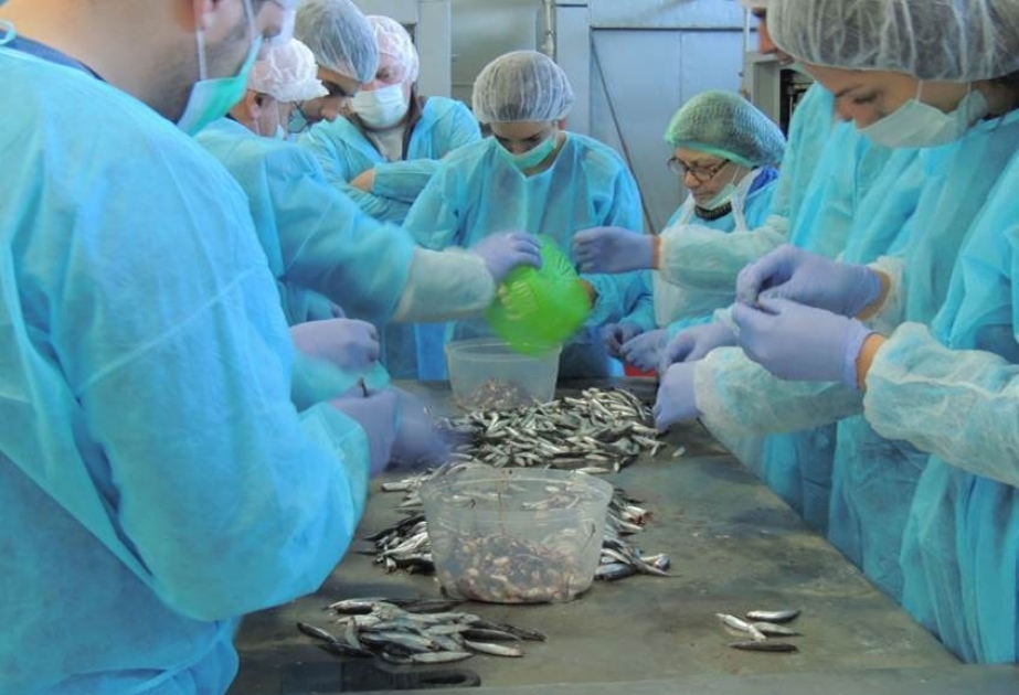 В рамках проекта FISHCap обсуждены текущее состояние отрасли рыболовства и аквакультуры Узбекистана