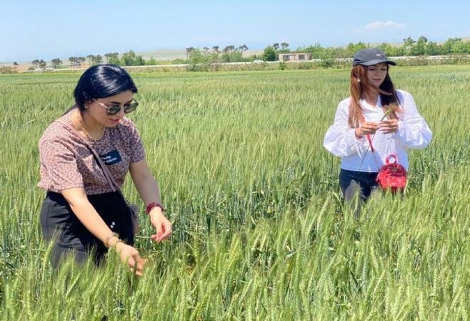 Molekulyar Biologiya və Biotexnologiyalar İnstitutunun əməkdaşları Qobustanda tədqiqat aparıblar