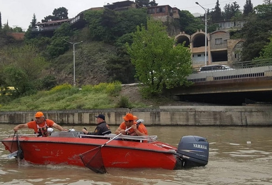 Gürcüstanda “Kür çayının mühafizəsi Günü” qeyd olunur