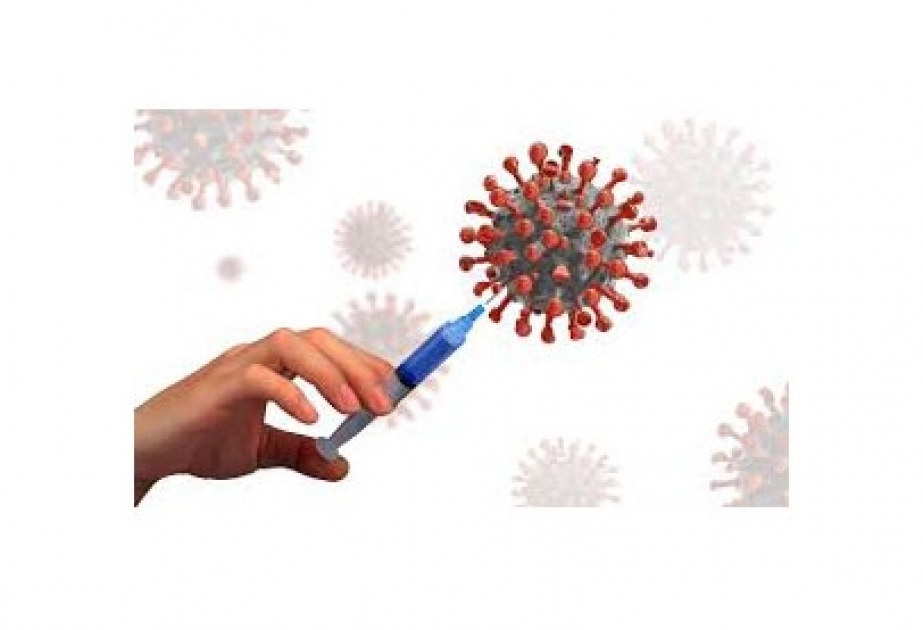 В ВОЗ призвали привить от коронавируса 30 процентов населения к концу года
