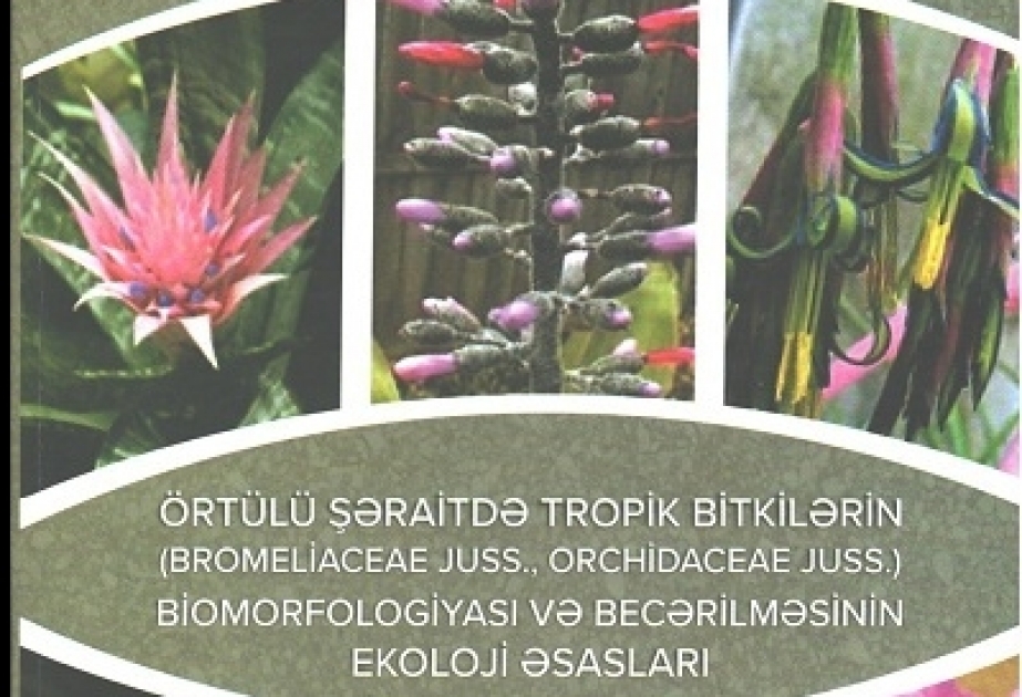 Tropik bitkilərin biomorfologiyası və becərilməsinin ekoloji əsasları haqqında monoqrafiya çap olunub
