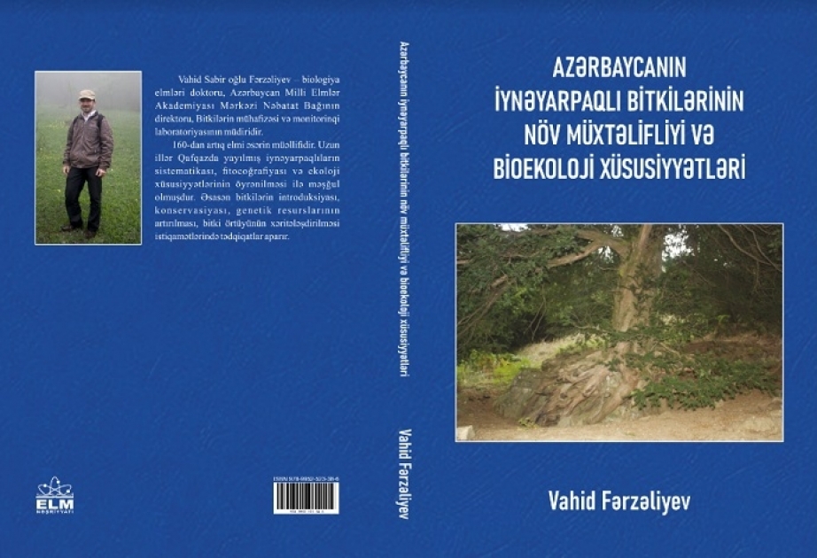 Azərbaycanın iynəyarpaqlı bitkilərinin növ müxtəlifliyi və bioekoloji xüsusiyyətləri öyrənilib