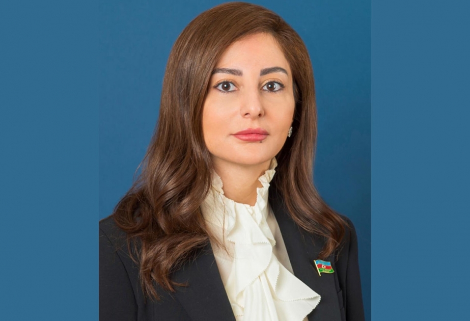 Deputat: Azərbaycan dövləti pandemiya sınağından üzü ağ çıxa bildi