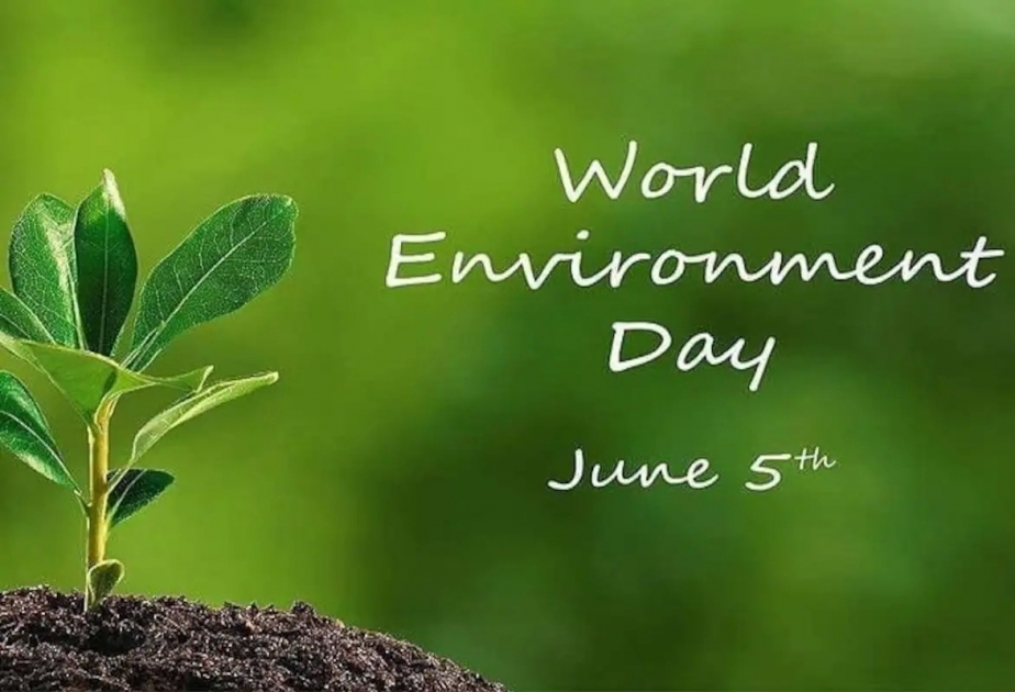 Сегодня Всемирный день окружающей среды