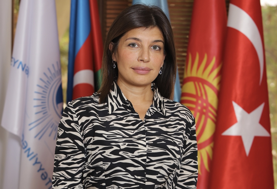 Beynəlxalq Türk Mədəniyyəti və İrsi Fondunun prezidenti beynəlxalq media nümayəndələrini Kəlbəcərdə baş vermiş faciəyə biganə qalmamağa çağırıb