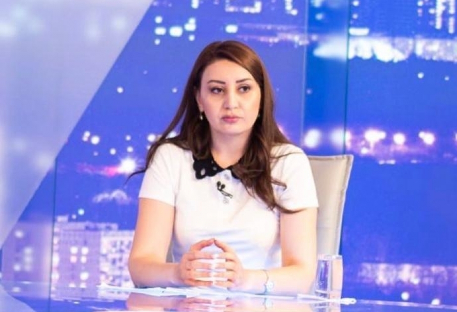 Politoloq: Dünyanı informasiya ilə təmin etməyə çalışan jurnalistlərin ölümü bəşəriyyətə qarşı cinayətdir