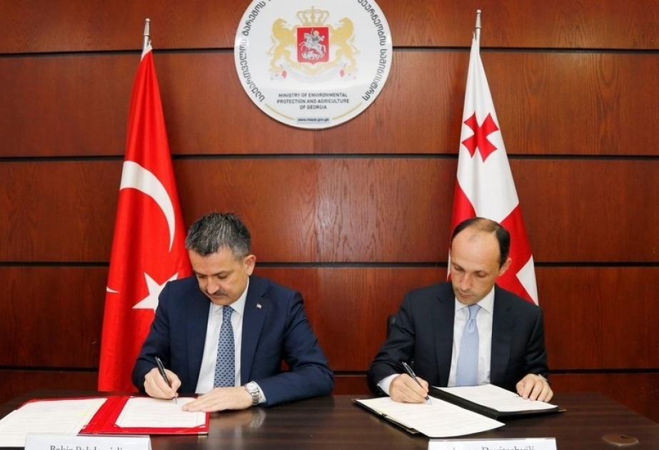 Aserbaidschan, Georgien und die Türkei werden in einem neuen Bereich zusammenarbeiten
