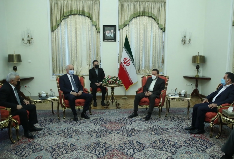 瓦埃兹：阿伊关系发展符合两国人民的利益