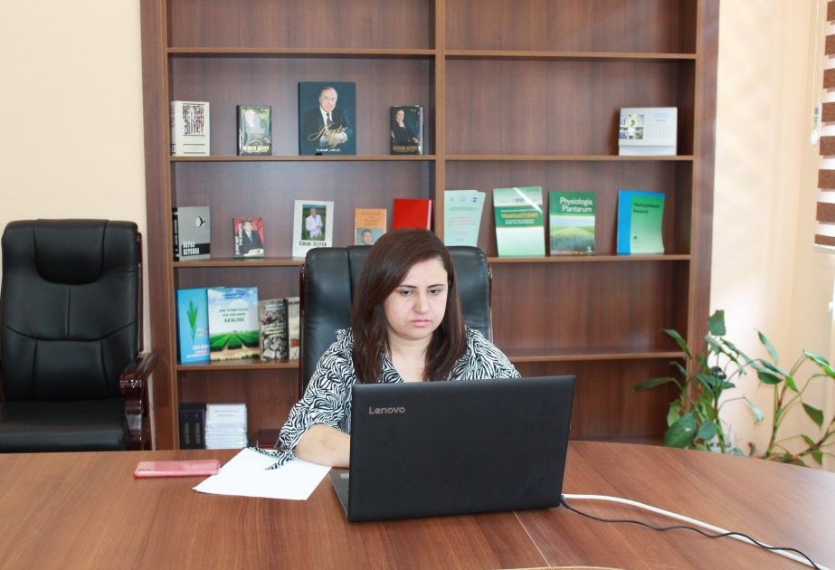 Azərbaycan Avropa Şurasının Bioetika Komitəsinin iclasında təmsil olunub