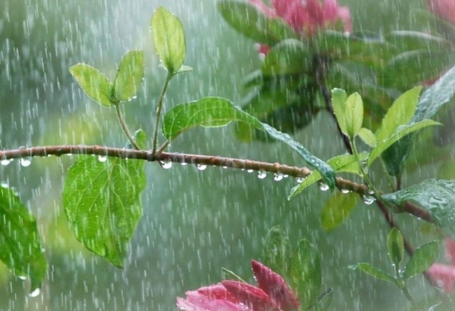 10 июня в некоторых районах Азербайджана ожидаются интенсивные дожди и град