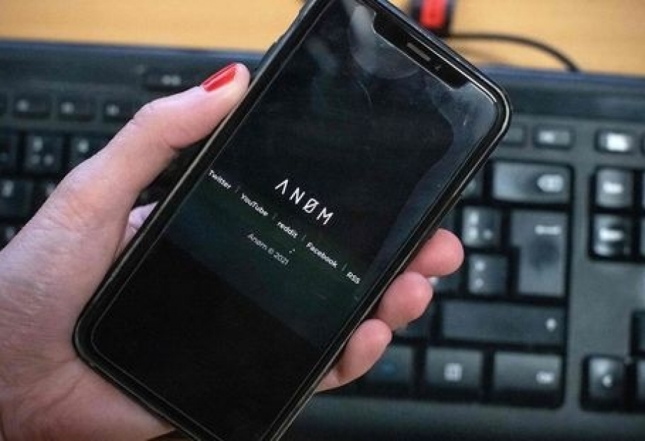 “Troya qalxanı” aksiyası çərçivəsində Avstriyada 13 cinayətkar həbs olunub