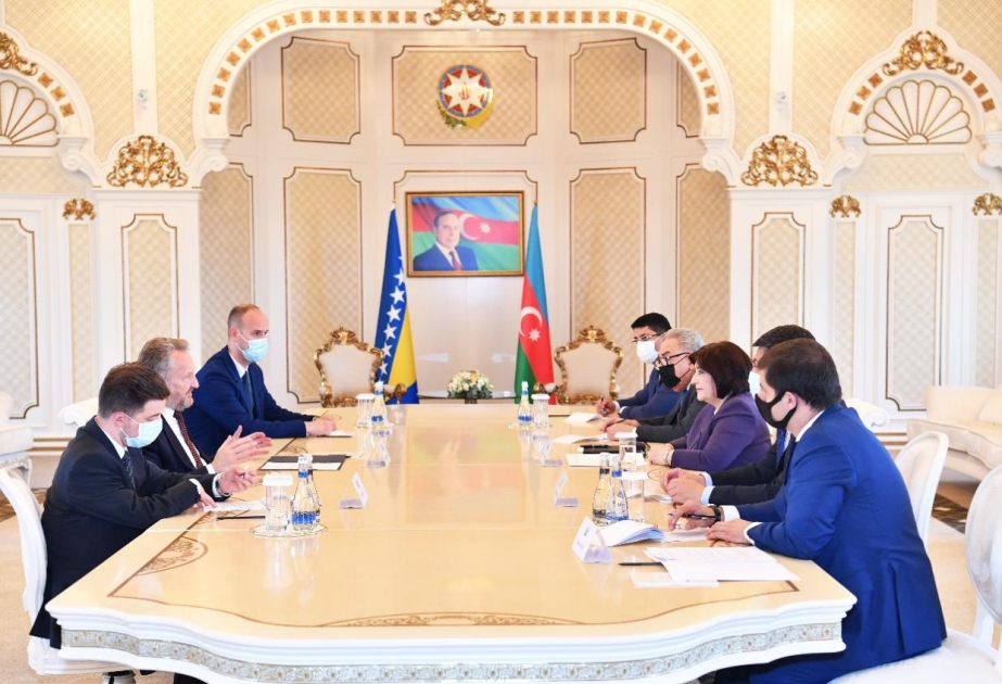 Milli Məclisin sədri Bosniya və Herseqovina Parlament Assambleyasının Xalqlar Palatasının sədri ilə görüşüb