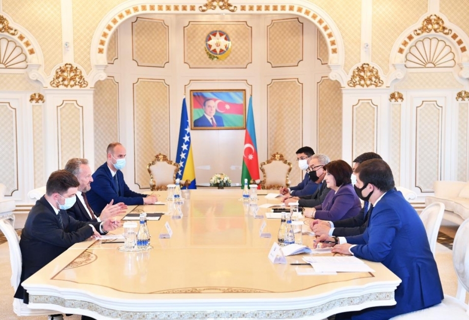 Presidenta de Milli Majlis se reunió con el presidente de la Cámara de los Pueblos de la Asamblea Parlamentaria de Bosnia y Herzegovina