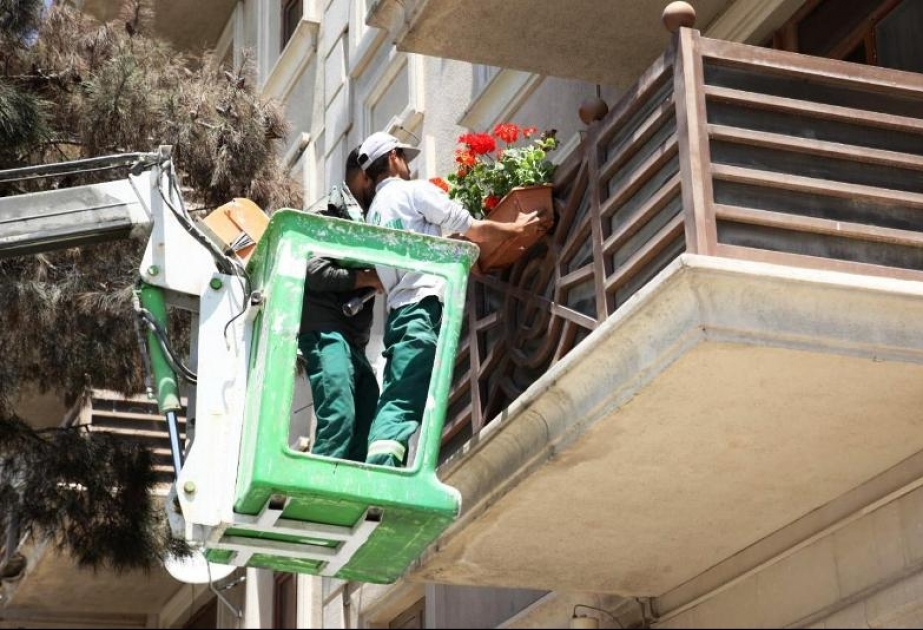 Bakı Şəhər və rayonların icra hakimiyyəti sakinlərə çağırış edib