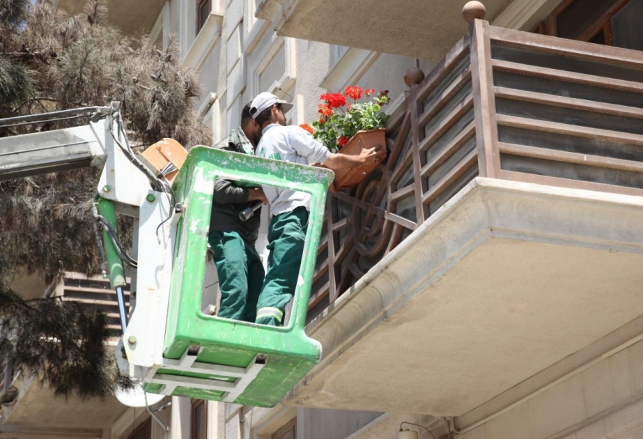 Xəzər rayonunda küçə və prospektlər boyunca yerləşən yaşayış binalarının eyvanlarında gül dibçəkləri yerləşdirilir