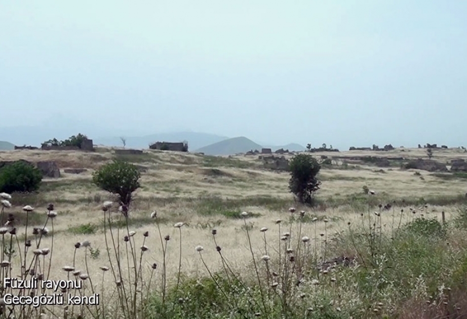 وزارة الدفاع تنشر مقطع فيديو عن قرية قيجاقوزلو المحررة في محافظة فضولي (فيديو)