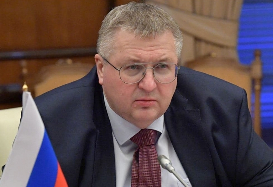El viceprimer ministro ruso habla de la labor del grupo de trabajo trilateral