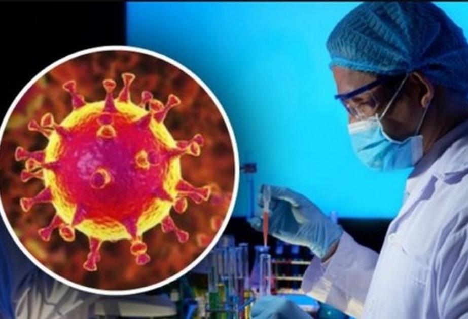 Врач-инфекционист: коронавирус уже мутировал