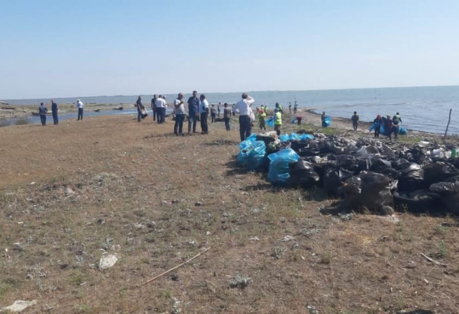 Lənkəranda Xəzər dənizinin sahili tullantılardan təmizlənib