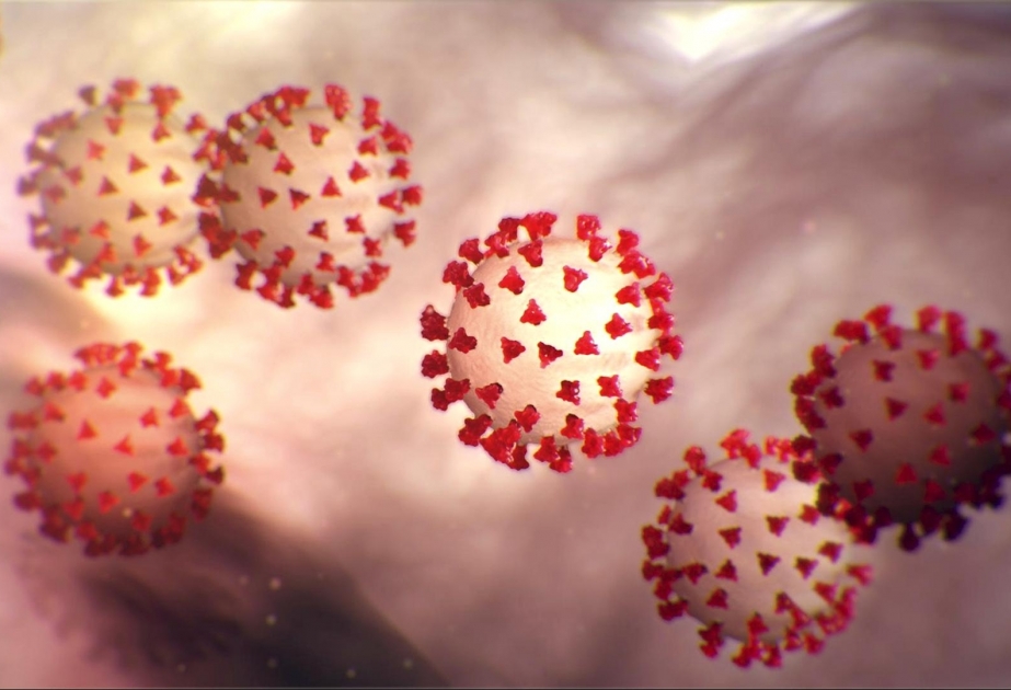 В Великобритании ученые заявили об изменении общих симптомов коронавируса