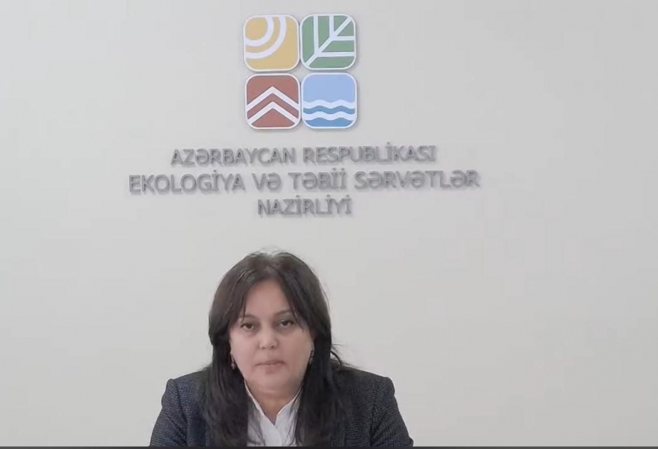 Umayra Tağıyeva: Təbiət istifadəçilərini təbiəti, ətraf mühiti tullantılarla çirkləndirməməyə çağırıram