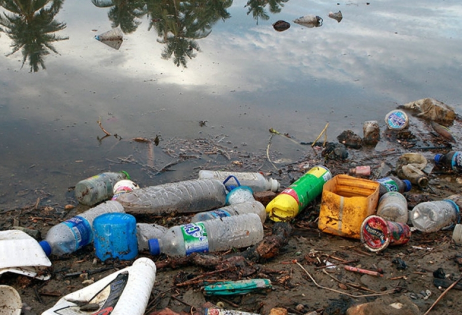 Исследование: в океане резко увеличилось количество пластика от еды с собой