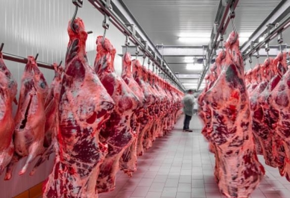 ارتفاع إنتاج اللحم في البلد